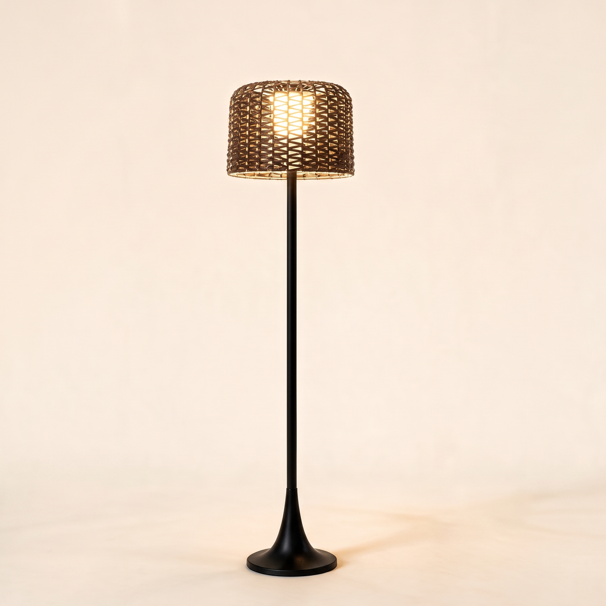 Willow Solar Floor Lamp — hero product shot (black)