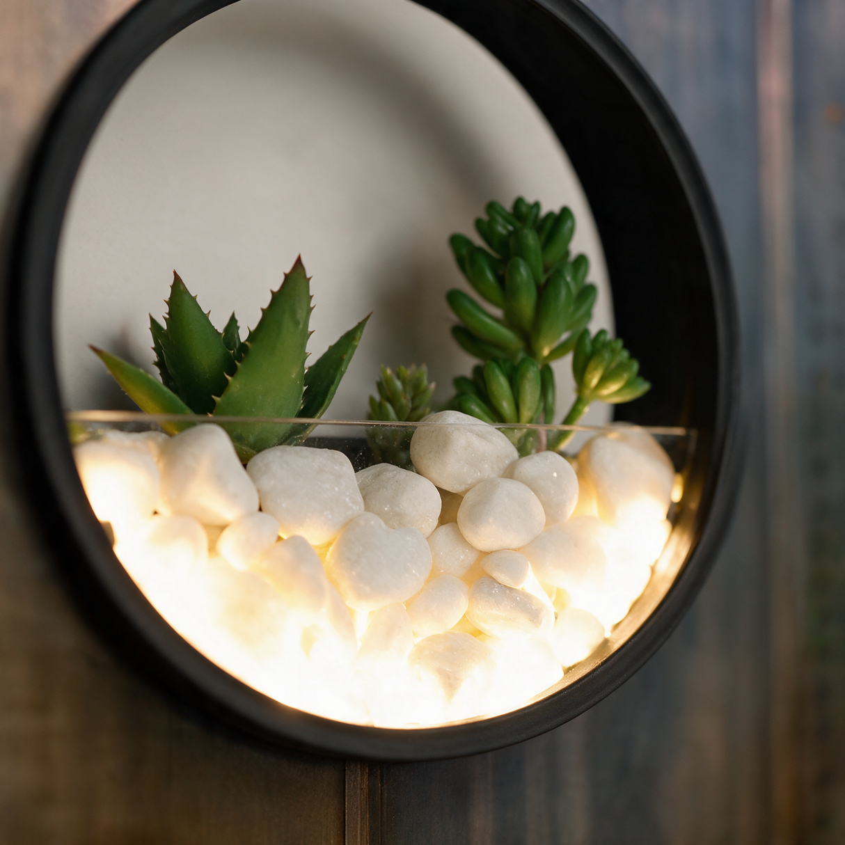 Oasis Ring Wall Planter Light - macro detail shot