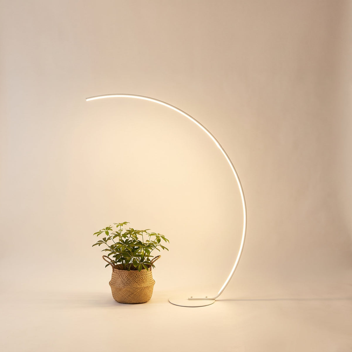 Crescent Arc Floor Lamp — White, studio shot with plant detail