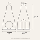 Ember Brass Lantern Lamp — dimensions diagram
