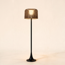Willow Solar Floor Lamp — hero product shot (black)