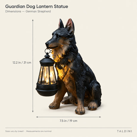 Guardian Dog Lantern Statue — German Shepherd dimensions diagram
