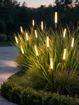 Vega Solar Path Light - lifestyle image along driveway