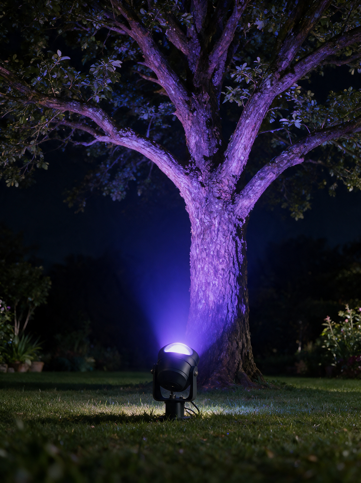 Nova RGB Landscape Spotlight - lifestyle image tree uplighting