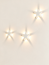 Aurelia Silhouette Wall Sconce - hero product shot (starfish, white)