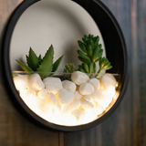 Oasis Ring Wall Planter Light - macro detail shot