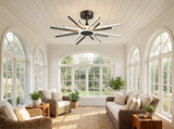 Starburst Ceiling Fan Light in sunroom