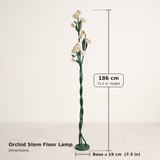 Orchid Stem Floor Lamp — dimensions diagram
